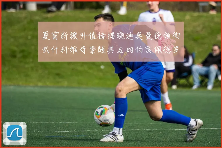 夏窗新援升值榜揭晓迪奥曼德领衔武什科维奇紧随其后姆伯莫佩德罗表现抢眼
