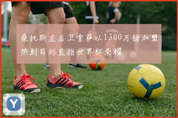 桑托斯左后卫索萨以1300万镑加盟热刺目标直指世界杯荣耀